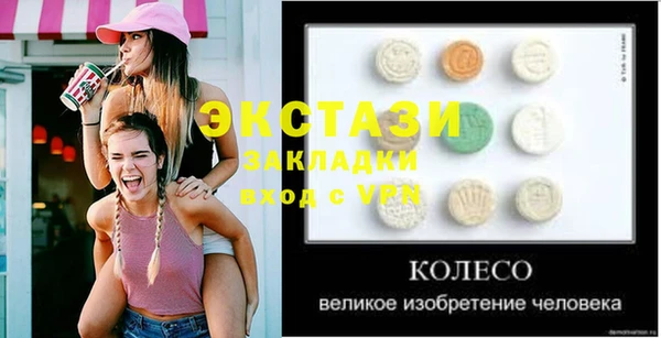 гидра Инсар