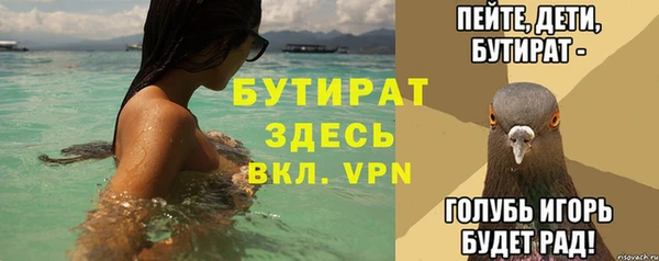 гидра Инсар