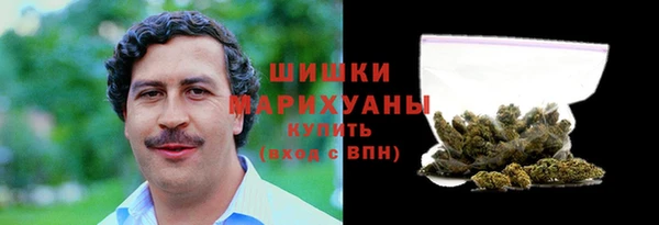 гидра Инсар