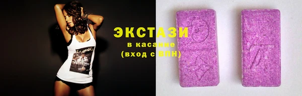 гидра Инсар