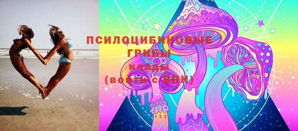 гидра Инсар