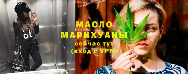 гидра Инсар