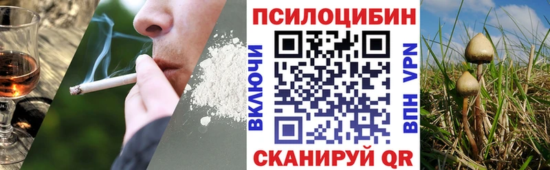 Купить закладки  Гулькевичи  Галлюциногенные грибы ЛСД 